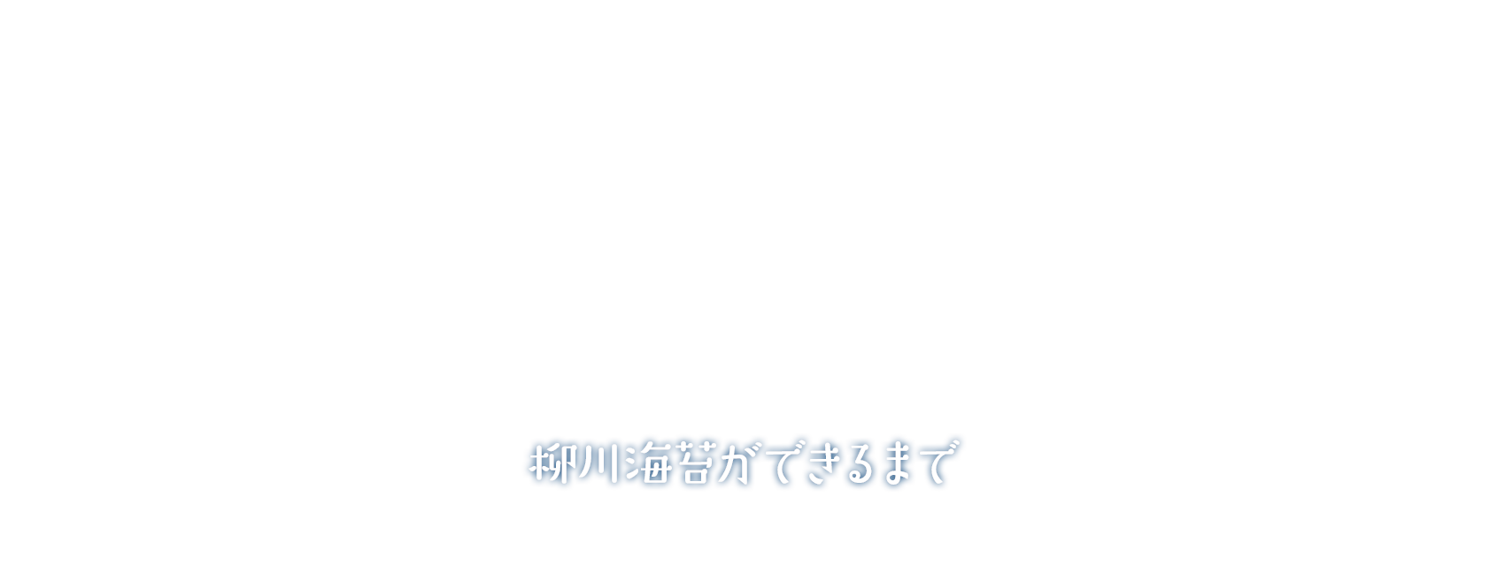 柳川海苔ができるまで